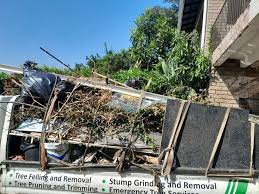 Best Residential Junk Removal  in Lenoir, NC